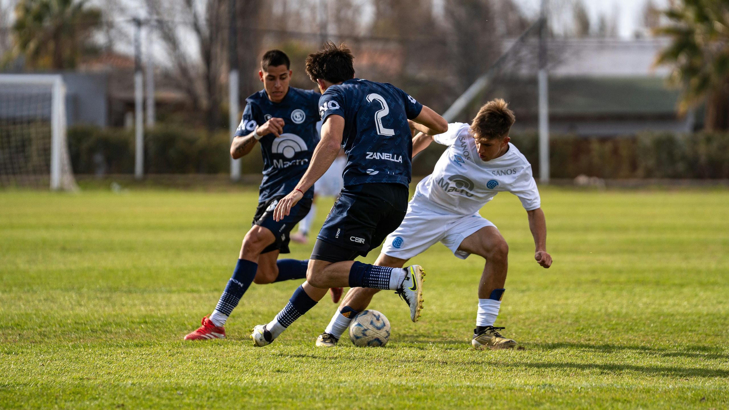 Intense soccer game between two teams in blue and white jerseys on a grassy outdoor field.